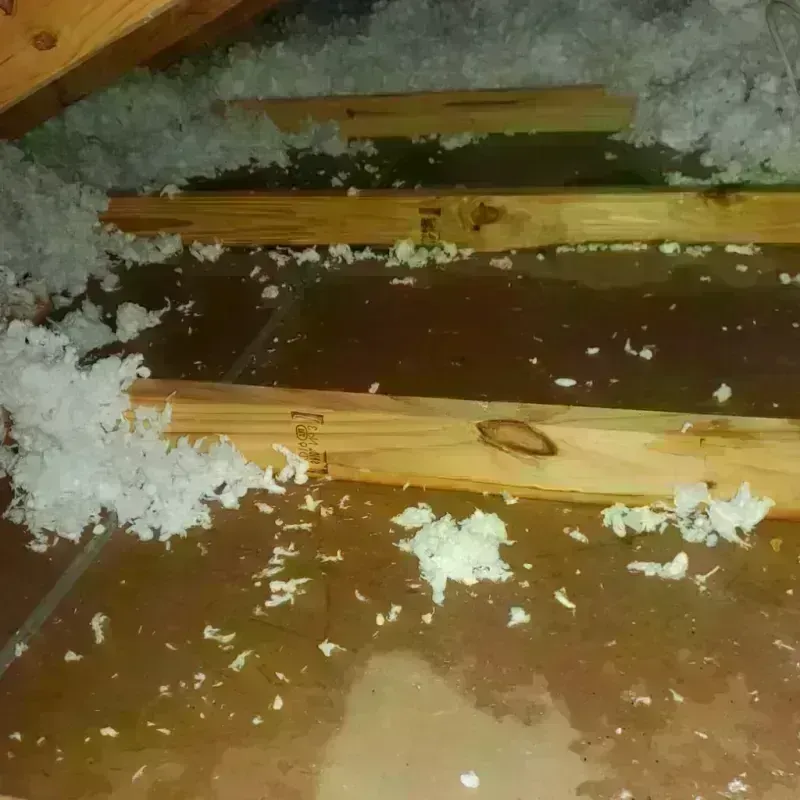 Attic Water Damage in Quitman, GA