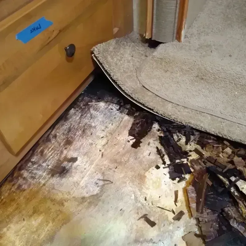 Best Wood Floor Water Damage Service in Quitman, GA